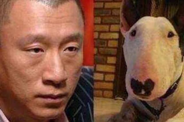 宝宝的聪明和长相随谁多一点？宝爸宝妈不要再争论了，快看这里