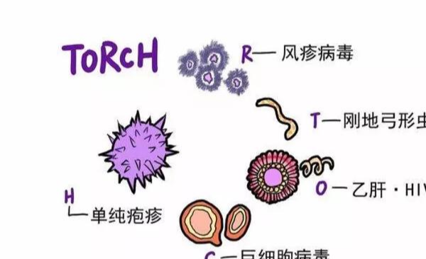 胎宝宝畸形的几率有多大，为什么胎宝宝会畸形？