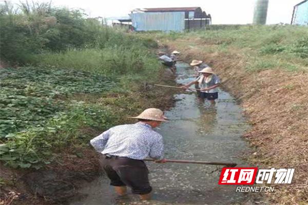 湘乡月山图片