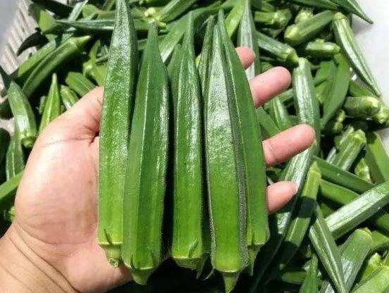 8月多给孩子吃这道菜，保护视力，再贵也要吃点