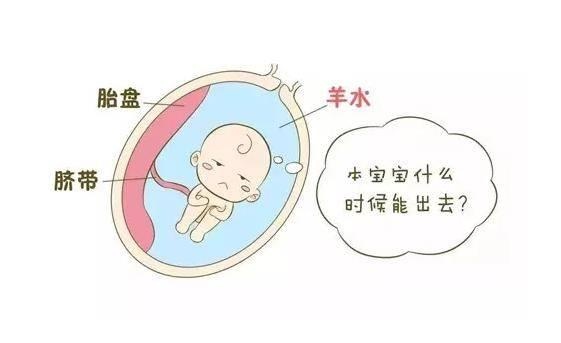宝妈羊水不足，小便见分晓，这两种情况要去见医生