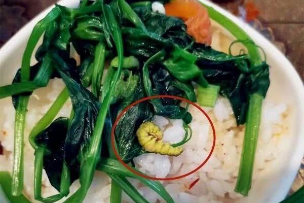 幼儿园老师晒孩子午餐，家长们看完后，第二天纷纷办理了退学