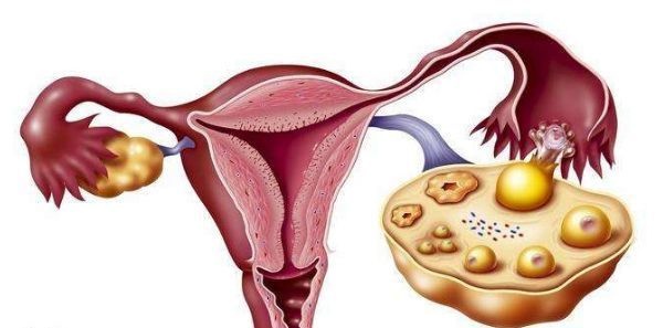 为什么很多的女人更年期提前了？大都离不开三个原因，看后别中招