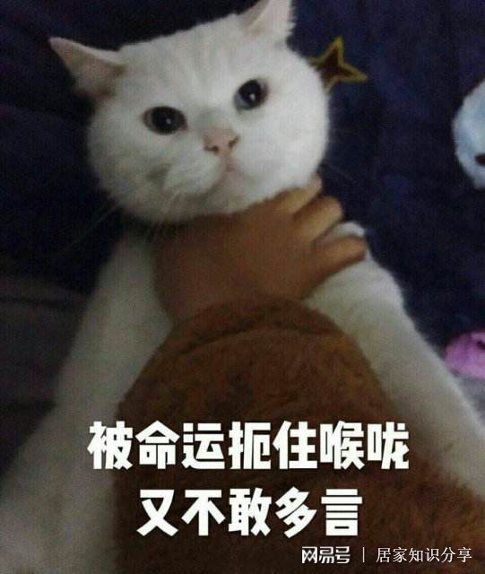 为防止孩子因甲醛患白血病，家长得记住这些小症状，是生病预兆