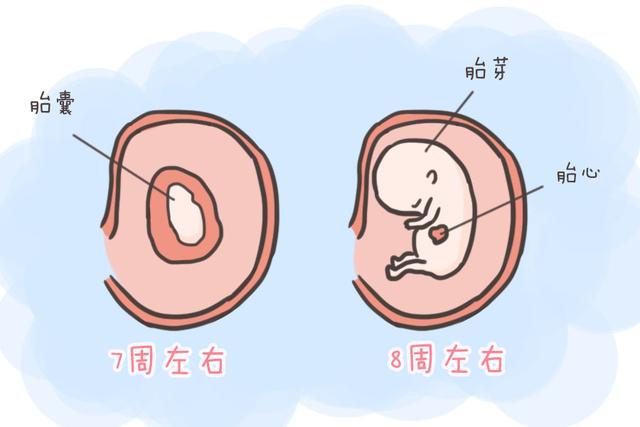 怀孕之后，这三种产检项目很重要，若能顺利通过孕妈可以放心不少
