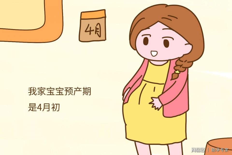 那些能快速怀孕的人，都是如何做到的？