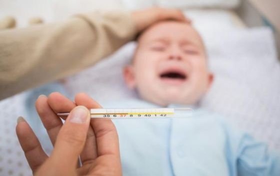 宝宝被蚊子咬得满身包，1种叶子放置卧室，安全驱蚊全靠它