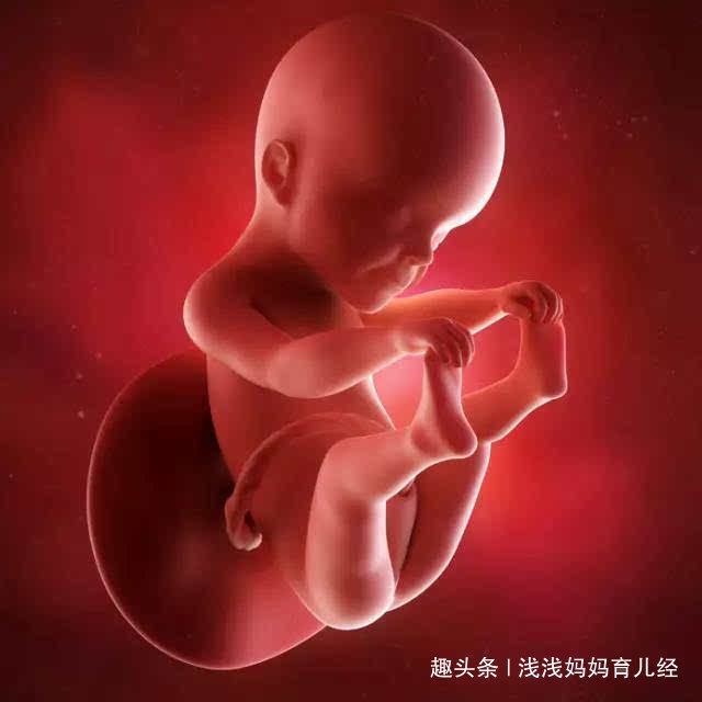 孕十月，胎儿虽然已经成熟，有个器官却要等出生后才会发挥作用