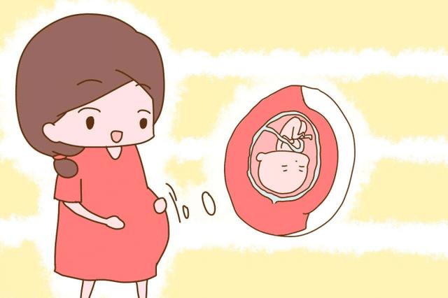 十月怀胎，孕妇守住3条底线，胎儿会发育更好