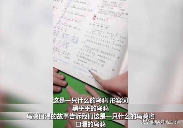 老爸持正确答案被孩子问懵：你家公鸡会下蛋吗？