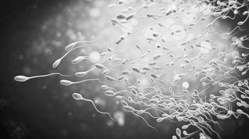 生男生女可选择？改变精子速度 能影响后代性别