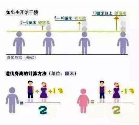 孩子的智商、身高和长相，遗传爸爸还是遗传妈妈的？