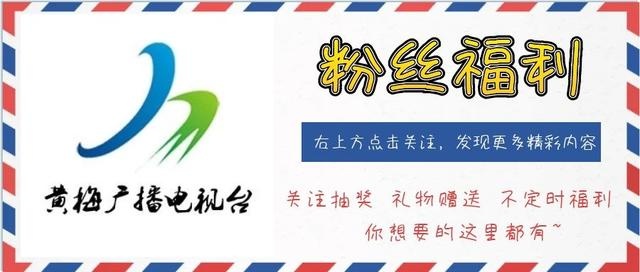 可爱外表后的隐形伤害，家里的毛绒玩具竟给孩子招来哮喘