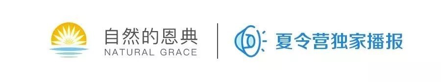 家长必读：什么样的教育才能培养出成功的孩子？