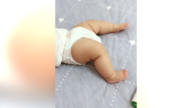 小粗腿太傲娇，就这样生气了，不过就算生气了也是超级可爱!