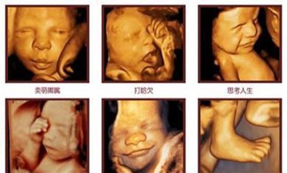 孕妈收藏：怀孕多久有胎动、胎动是什么感觉、怎么做能感觉到胎动