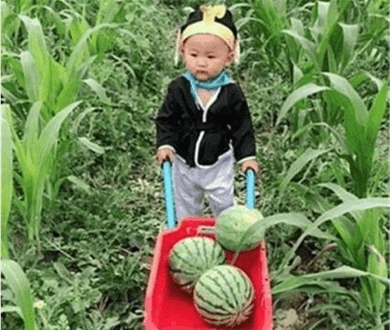 奶奶把孙子带回乡下,妈妈总不放心,看到视频妈妈顿时笑喷了？
