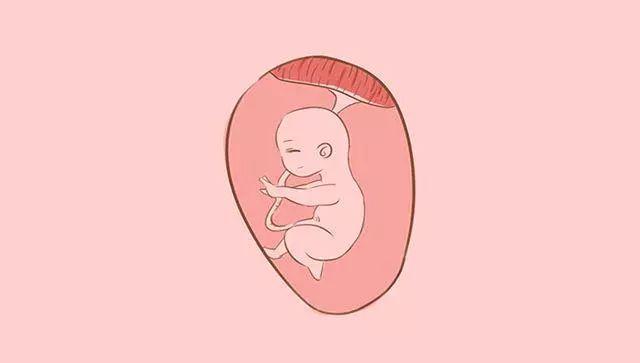 产后什么时候结扎好呢？#清风计划##健康早班车#