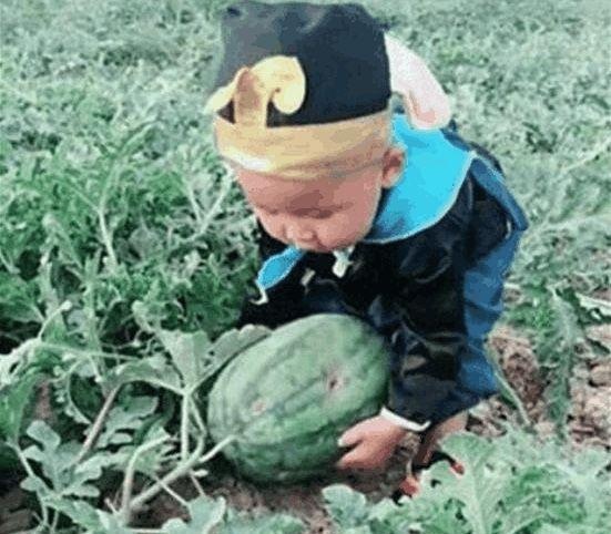 奶奶把孙子带回乡下,妈妈总不放心,看到视频妈妈顿时笑喷了？
