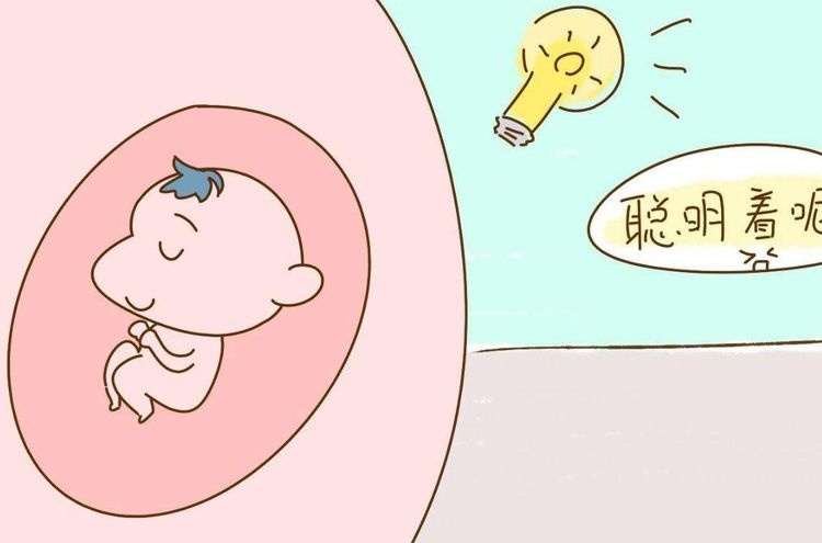 怀孕后的3个时间点，是宝宝智力发展的高峰期，错过了很难补救