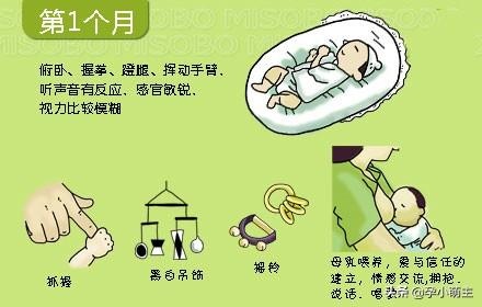 婴幼儿0-12个月生长发育参考标准