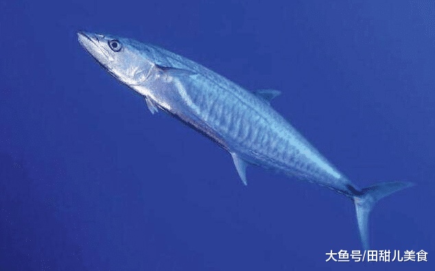 就算孕妈再不喜欢，这3种食物也要多吃一点，能防止宝宝有缺陷