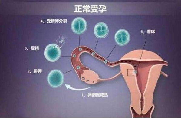 停经是怀孕第一信号吗？其实这3个信号更早一些，别忽视
