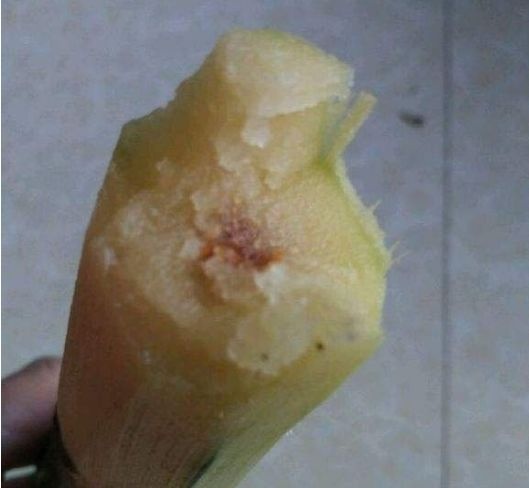 有些“零食”孩子多吃可能容易上火，损害身体发育，家长别纵容