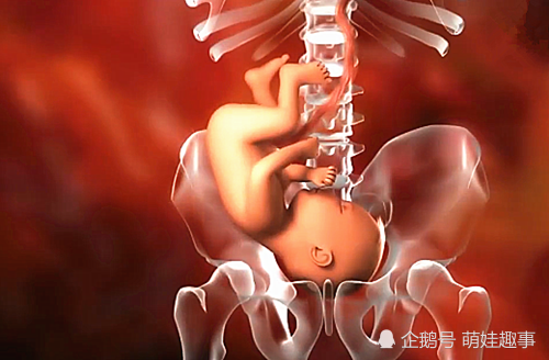 孕晚期胎宝入盆成功后，会高兴的“通知”妈妈！原来信号挺明显