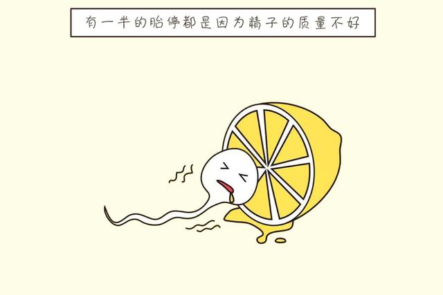?为什么现在“胎停育”这么多？4个危险因素，孕妇最好能避开