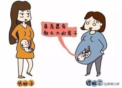 不显怀的人是因为宝宝小吗？为什么会有这种明显的差异呢