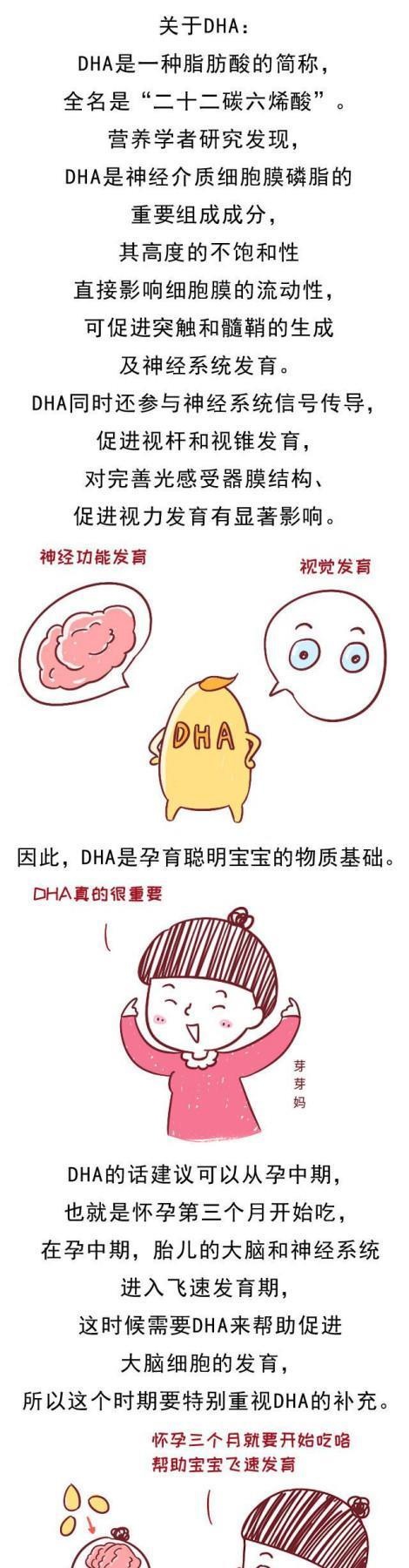 孕妈从什么时候开始补叶酸和DHA，是最安全、最有效的？