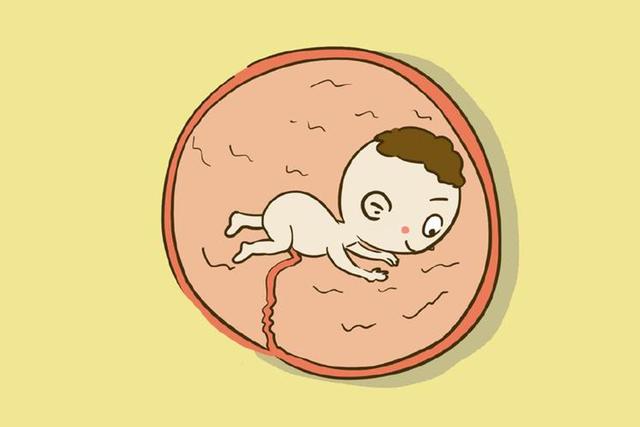 孕妈在散步时，胎儿正在干吗？原来他这么忙