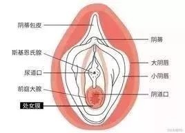 关于“私处护理”，90%的女生都搞错了