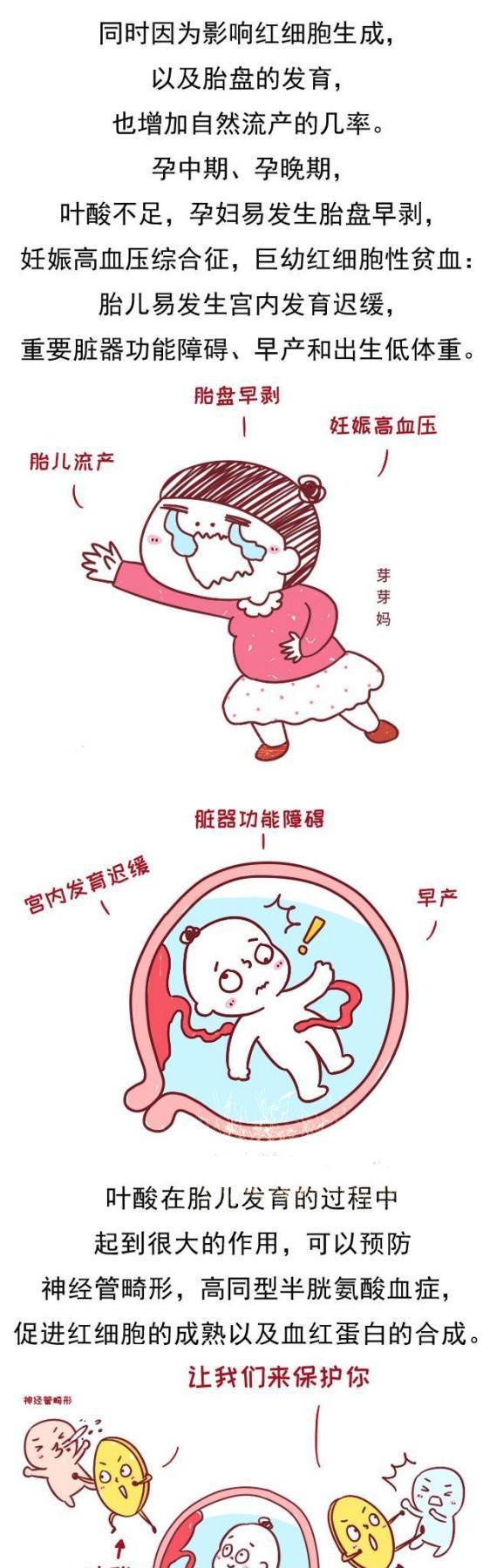 孕妈从什么时候开始补叶酸和DHA，是最安全、最有效的？