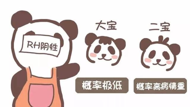 熊猫血到底能不能生二胎？#清风计划##健康早班车#