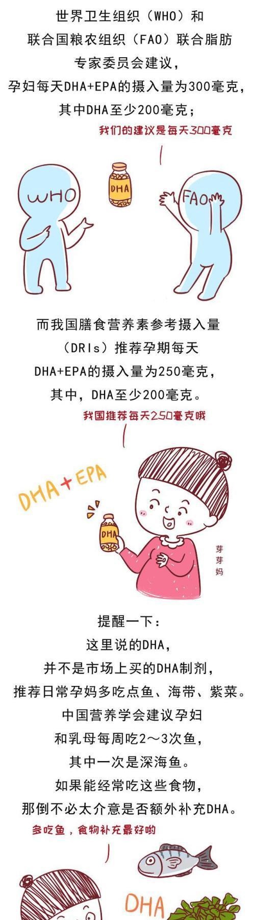 孕妈从什么时候开始补叶酸和DHA，是最安全、最有效的？