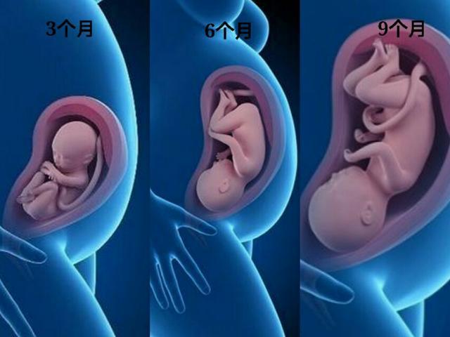 胎儿3个月、6个月、9个月区别有多大？孕妇看这三张图，感动了