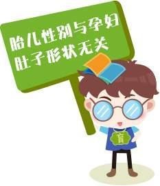 肚型不一样，胎儿性别不一样，是真的吗？