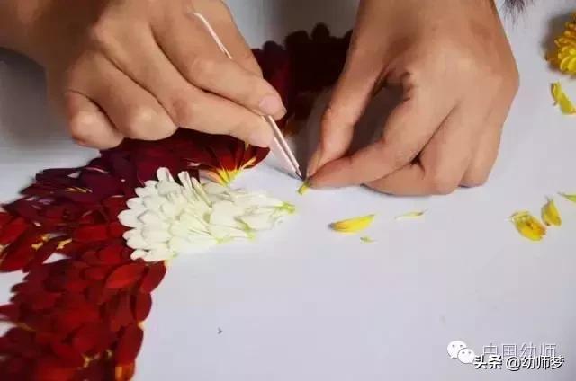 手工｜幼儿园老师的花瓣手工，简直美轮美奂