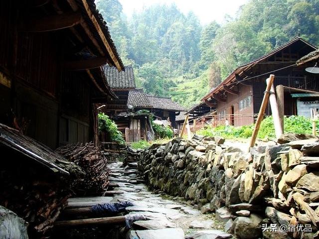 安吉无蚊村一日游,真的没有蚊子哦