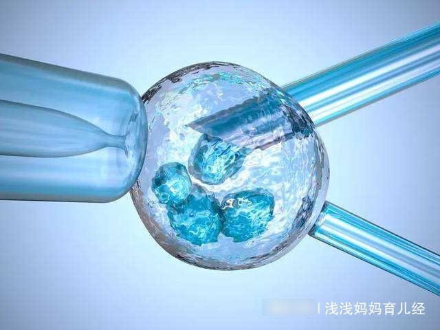 一张特殊的婴儿照，告诉你怀个宝宝不容易，孕妈妈很伟大
