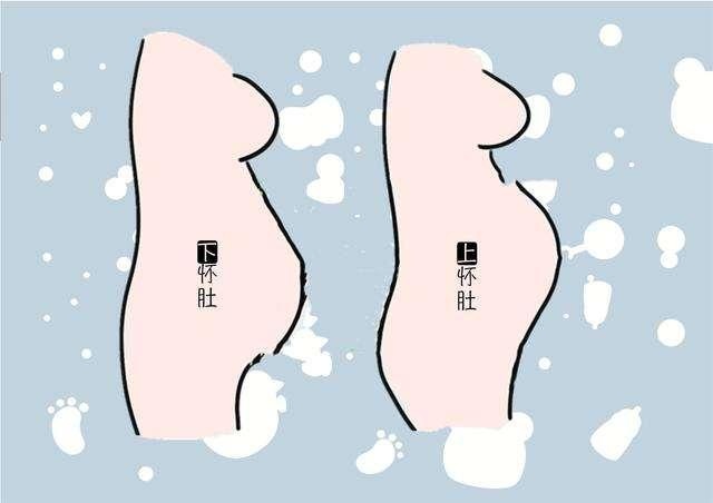 肚型不一样，胎儿性别不一样，是真的吗？