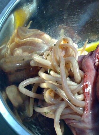 肚子疼就是着凉？孩子体内密麻的“蛔虫”，家长看了头上直冒冷汗