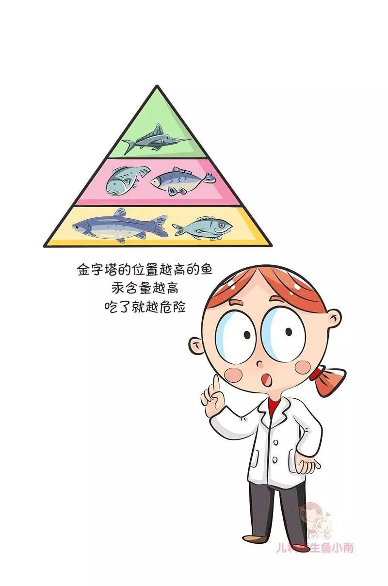 每周这样吃鱼，助力宝宝提高智商