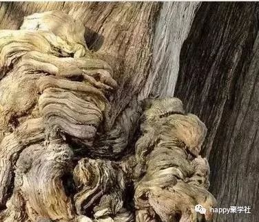 眼力测试：左右脑齐上，一起来试试！