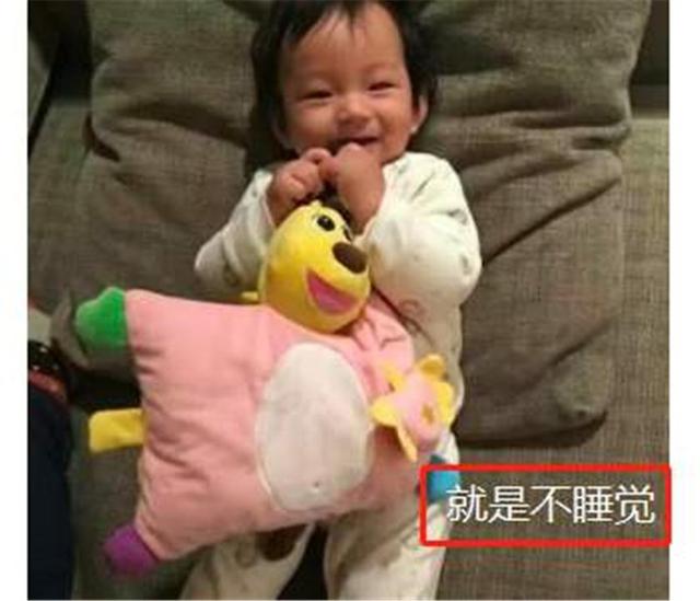 一位宝妈的疑惑：宝宝明明困得不行，为什么却拼命反抗哄睡？