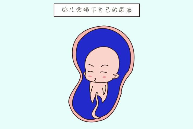 怀孕不全是遭罪，也会有这么些“乐子事”，你们遇过哪一个？