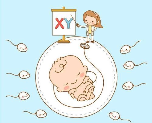 备孕前要做哪些检查？备孕期间饮食有啥讲究？妇产医生为你解答