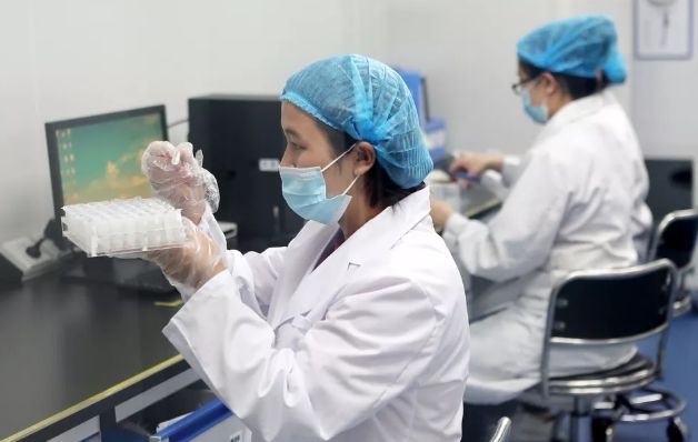好消息!衡水孕妇可免费享受一次产前基因筛查